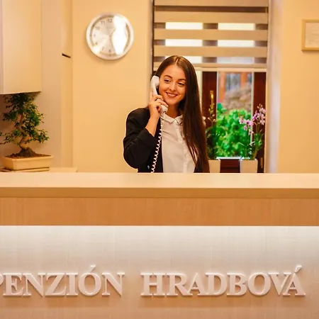 호텔 Hradbova & 3*