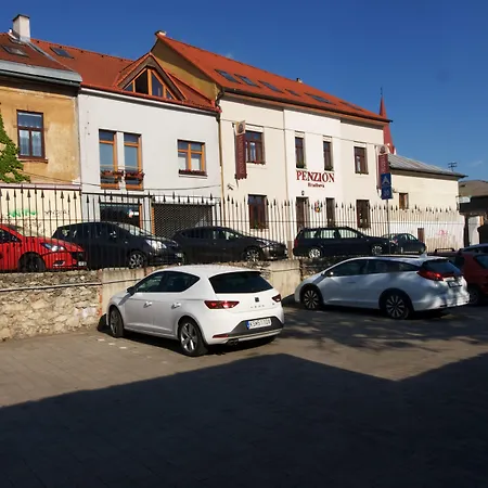 ホテル Hradbova Old Town & コシツェ