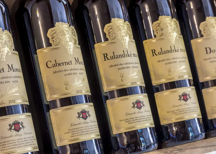 מלון Hradbova Old Town & קושיצה