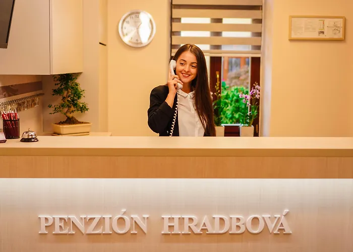 Hradbova Old Town & מלון 3*