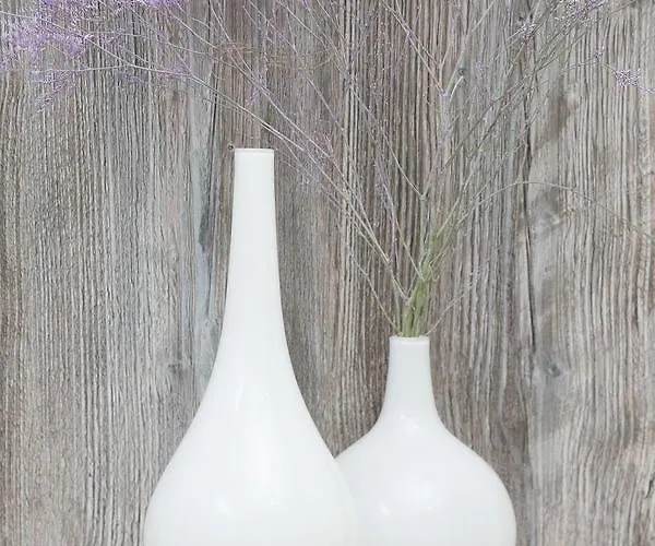 Hradbova Old Town & מלון 3*